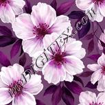 Colour:B