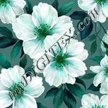 Colour:C