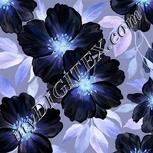 Colour:F
