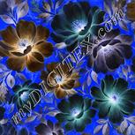 Colour:F