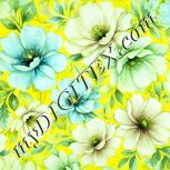 Colour:K