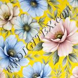 Colour:A