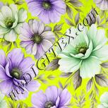 Colour:D