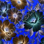 Colour:F