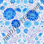 Colour:F