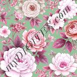 Colour:B