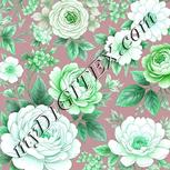 Colour:C
