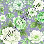 Colour:D