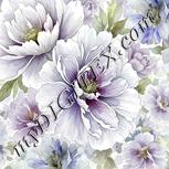 Colour:A