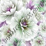 Colour:B