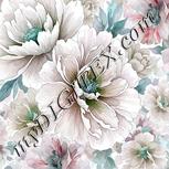 Colour:C