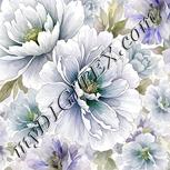 Colour:D