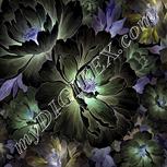 Colour:F