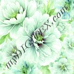 Colour:K