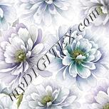 Colour:D