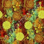 Colour:K
