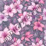 Colour:B