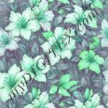 Colour:C