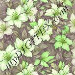 Colour:D