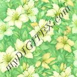 Colour:K