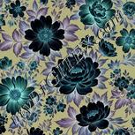 Colour:F