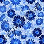 Colour:F