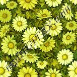 Colour:K