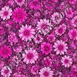 Colour:B
