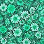 Colour:C