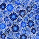 Colour:F