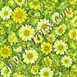 Colour:K