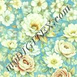 Colour:K