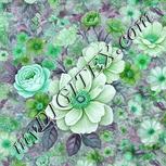 Colour:C
