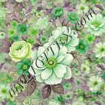 Colour:D
