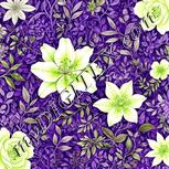 Colour:D