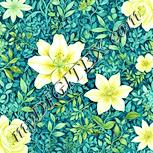 Colour:K