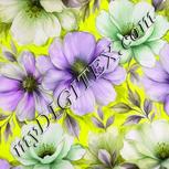 Colour:D