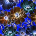 Colour:F
