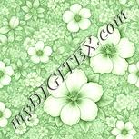 Colour:K