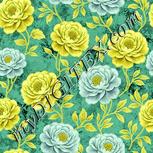 Colour:K