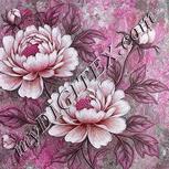 Colour:B