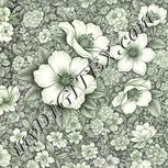 Colour:D