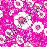 Colour:B