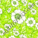 Colour:D
