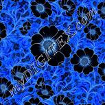 Colour:F