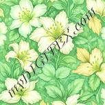 Colour:K