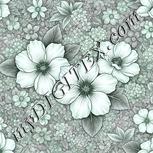 Colour:C