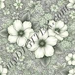 Colour:D