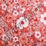Colour:B