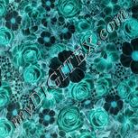 Colour:F